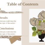 Aesthetic de Fotografía Plantilla PowerPoint