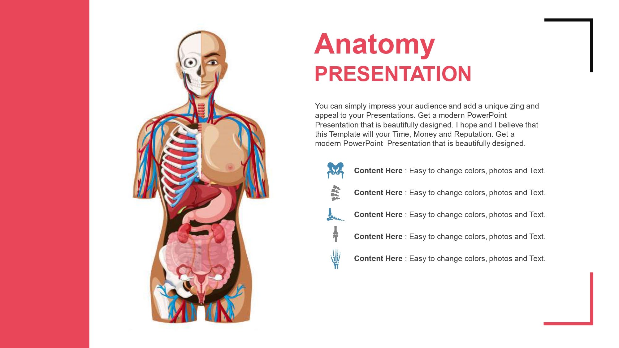 Anatomía Plantilla PowerPoint