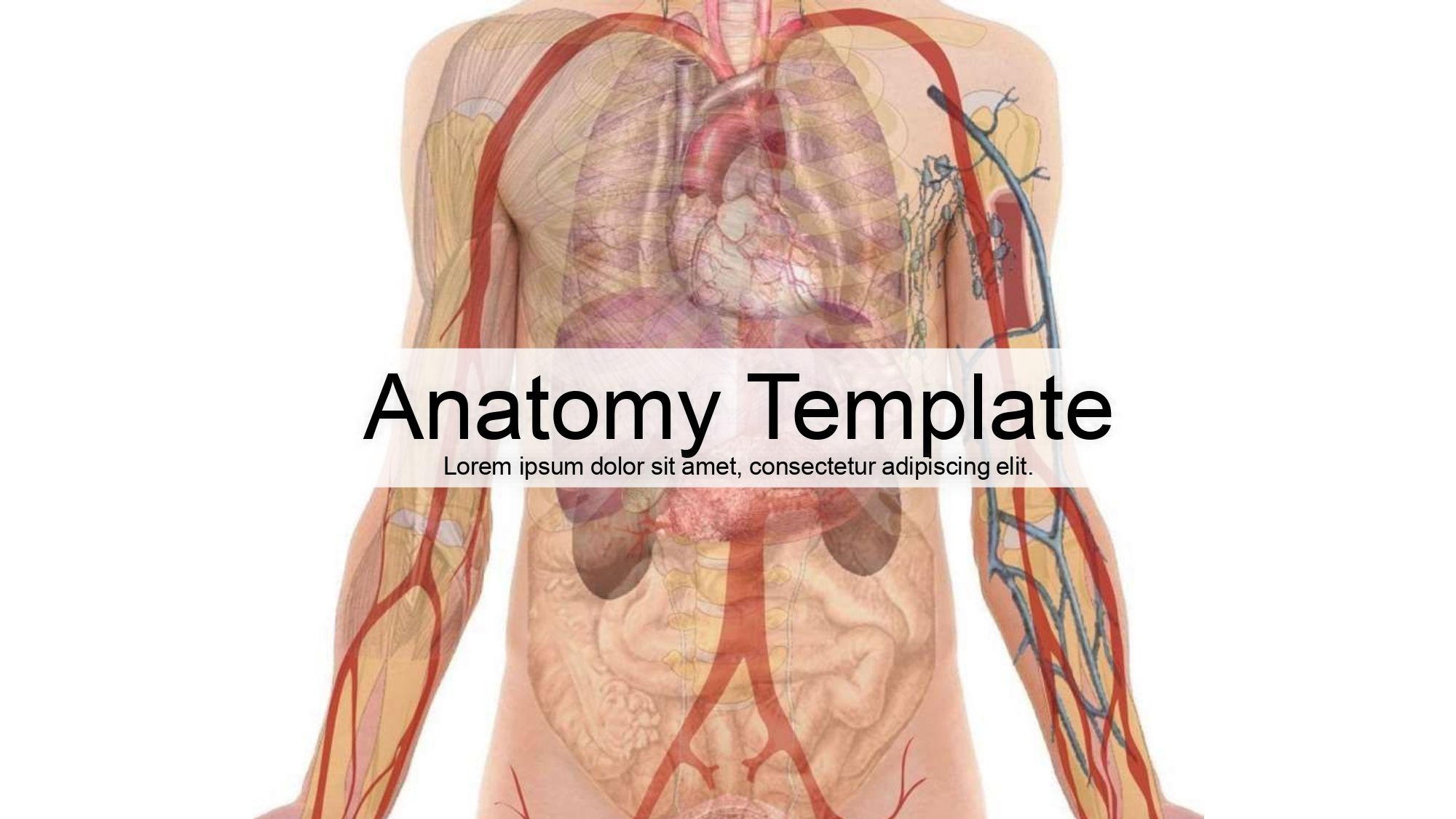 Anatomía Plantilla PowerPoint