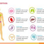 Anatomía Plantilla PowerPoint