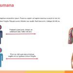 Anatomía Plantilla PowerPoint
