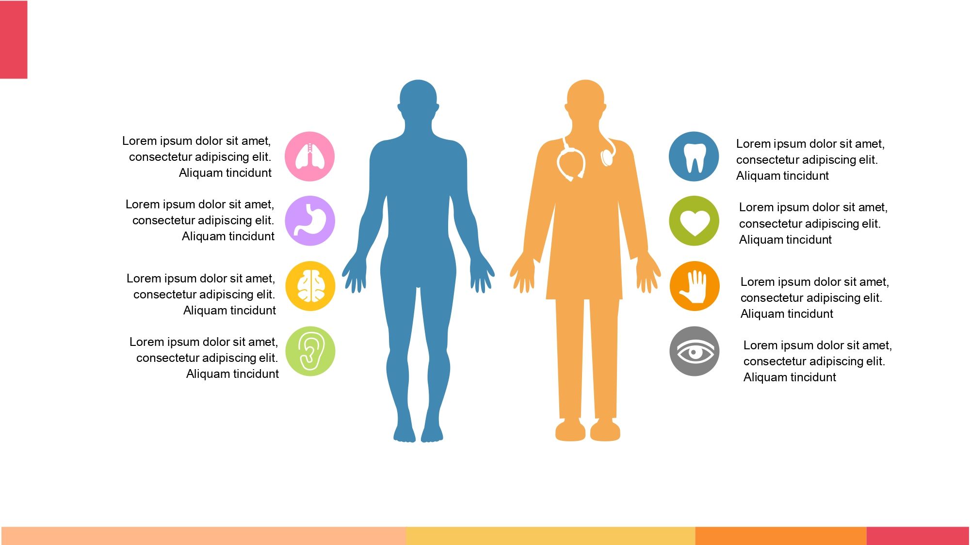 Anatomía Plantilla PowerPoint