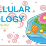 BiologĂa Celular Plantilla PowerPoint