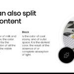 Blanco y Negro Plantilla PowerPoint