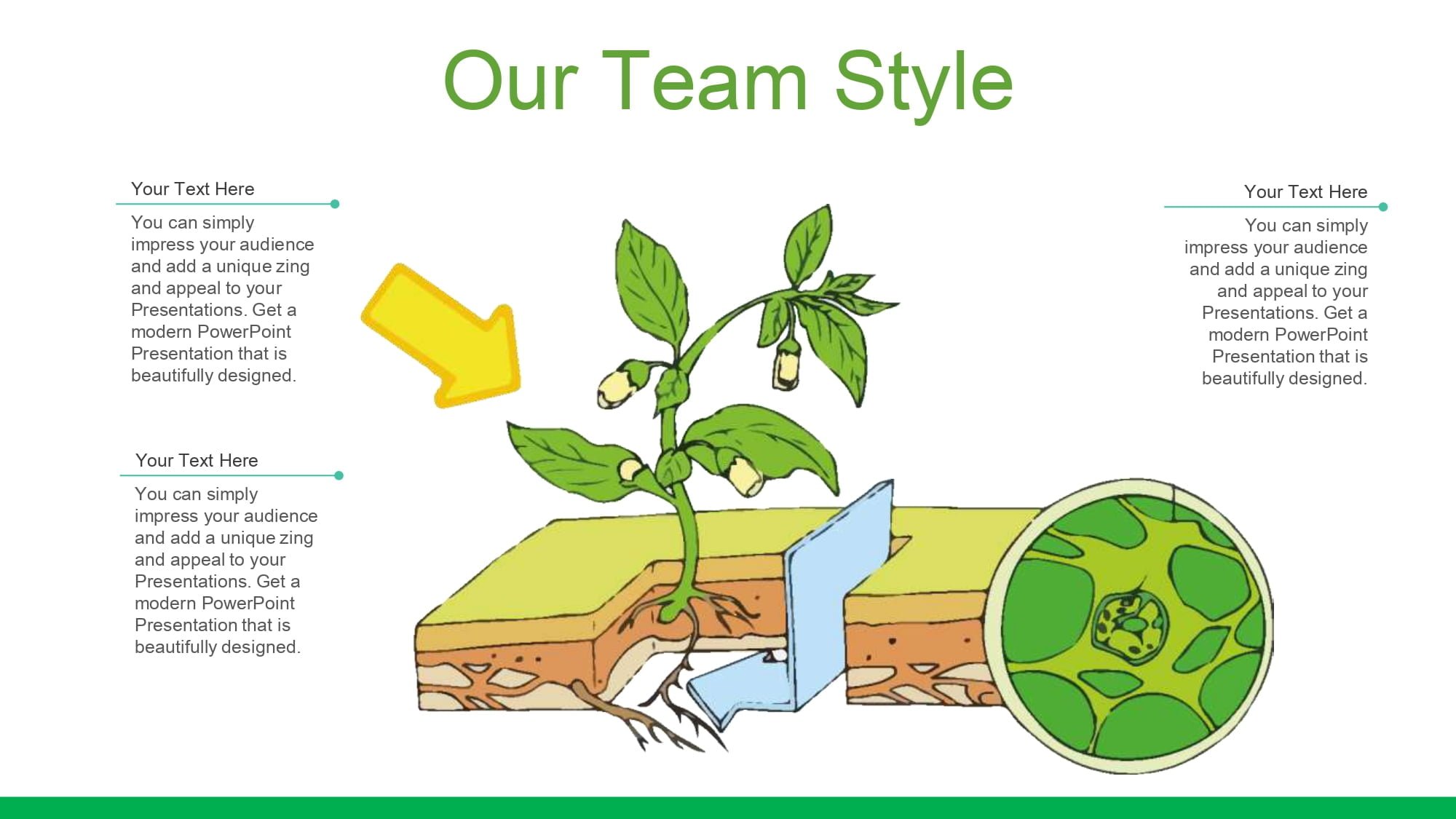 Botánica Plantilla PowerPoint