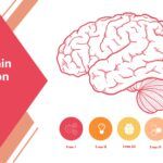 Cerebro Humano Plantilla PowerPoint