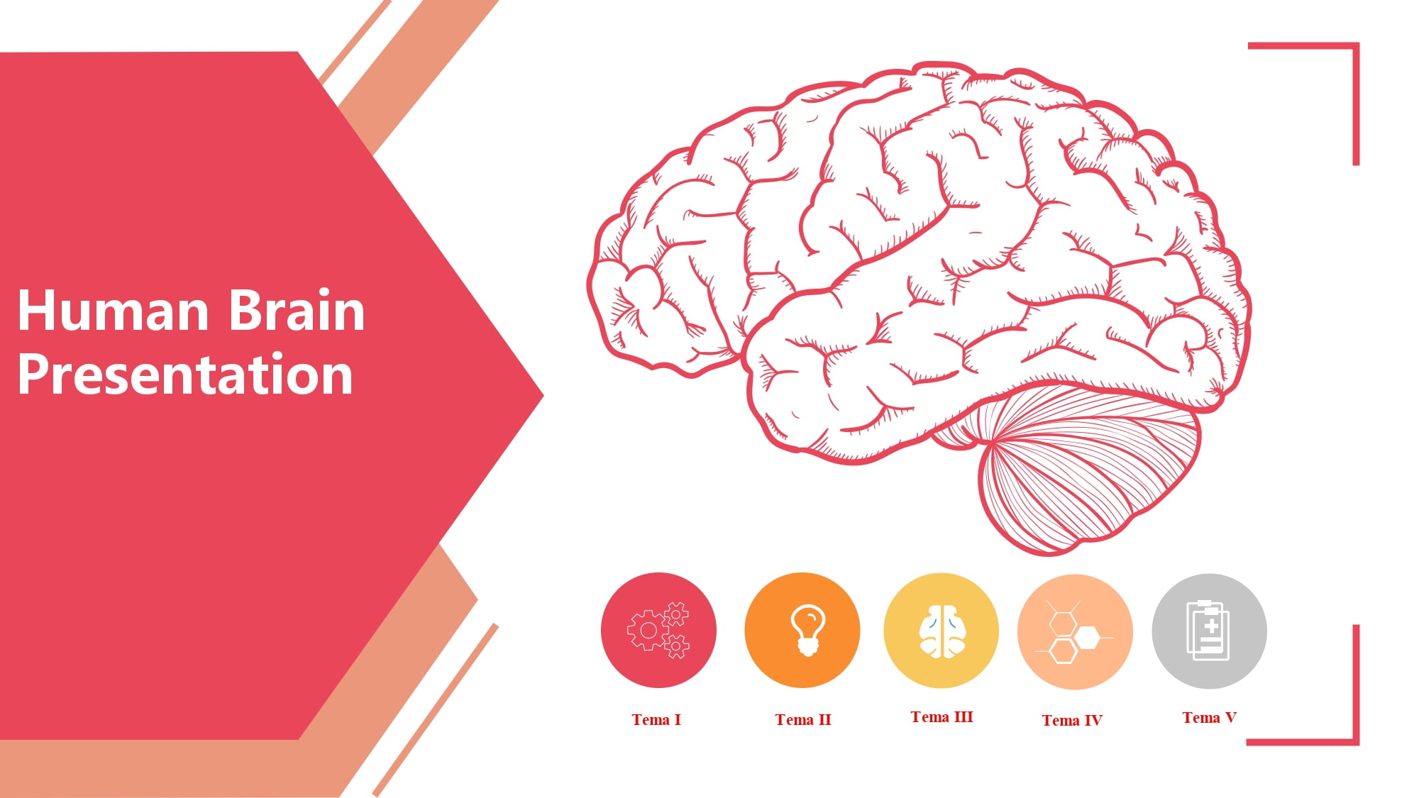 Cerebro Humano Plantilla PowerPoint