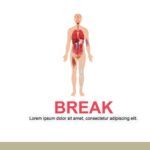 Cuerpo Humano Plantilla PowerPoint