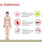 Cuerpo Humano Plantilla PowerPoint