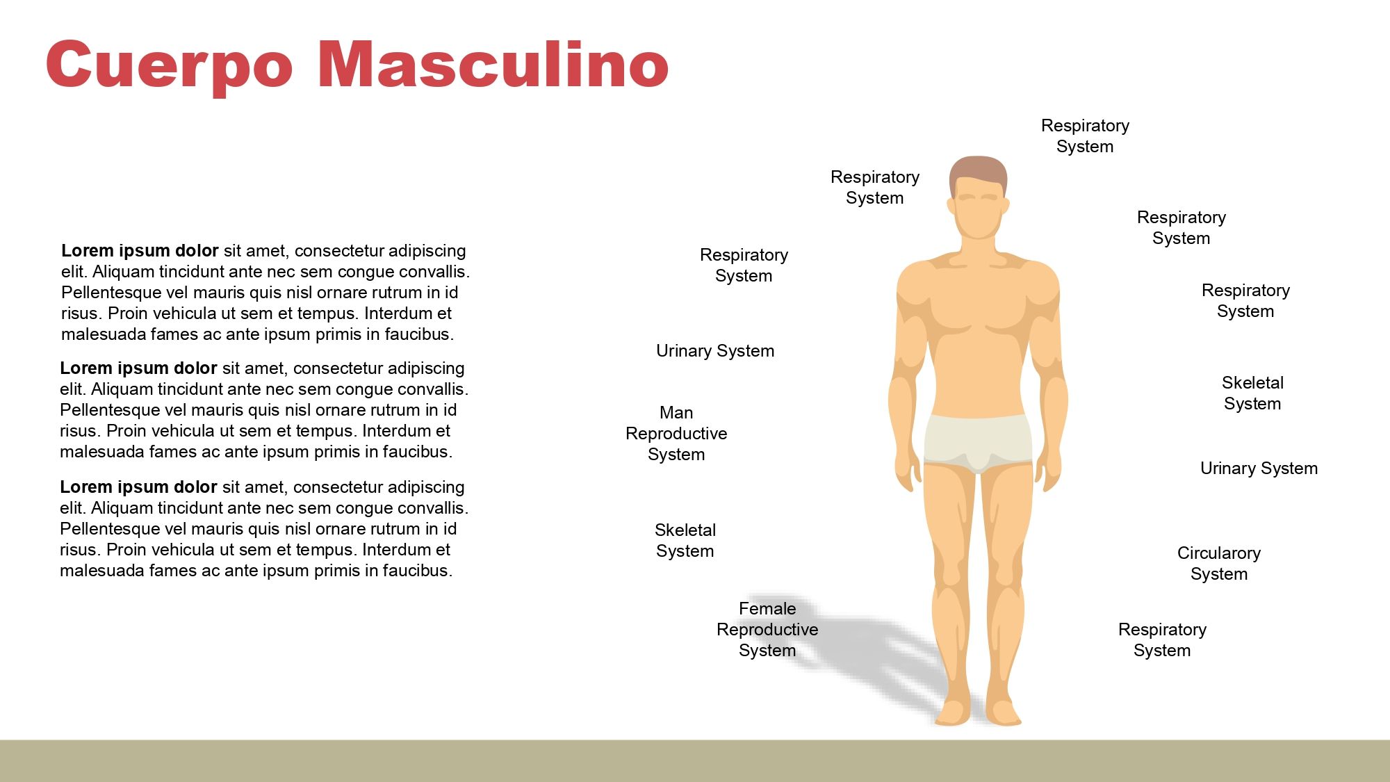 Cuerpo Humano Plantilla PowerPoint