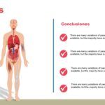 Cuerpo Humano Plantilla PowerPoint