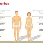 Cuerpo Humano Plantilla PowerPoint