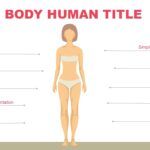 Cuerpo Humano Plantilla PowerPoint