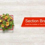 Decoración de Flores Plantilla PowerPoint