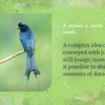 Diseño Medioambiental Plantilla PowerPoint