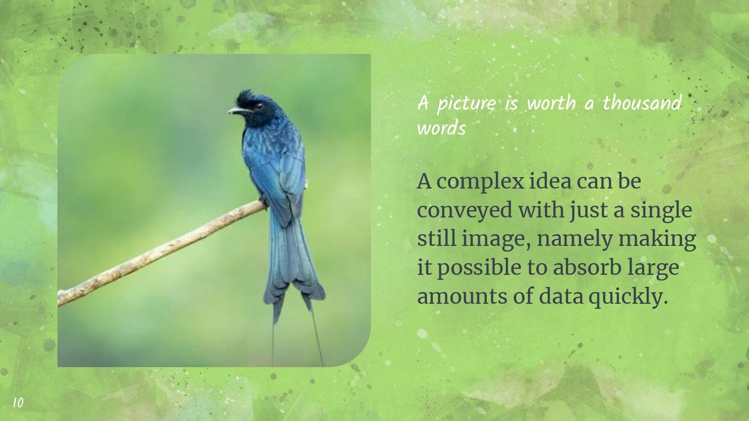 Diseño Medioambiental Plantilla PowerPoint