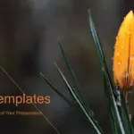 Estilo Flores Plantilla PowerPoint