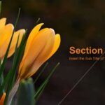 Flores Plantilla PowerPoint