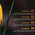 Flores Plantilla PowerPoint