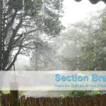 Lluvia Plantilla PowerPoint