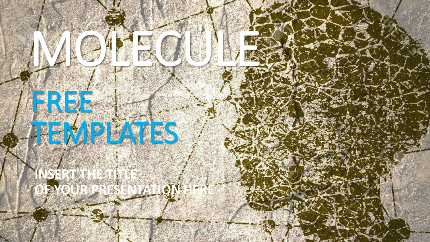 Molécula Plantilla PowerPoint