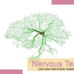 Neurociencia Plantilla PowerPoint