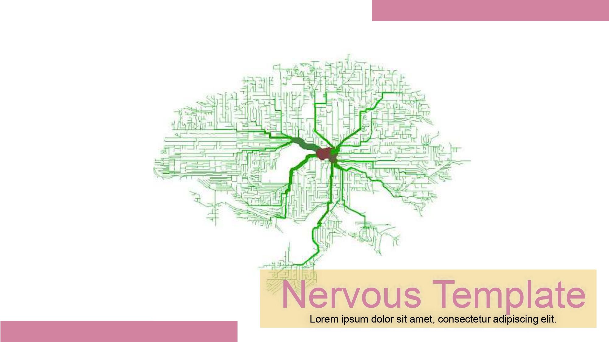 Neurociencia Plantilla PowerPoint