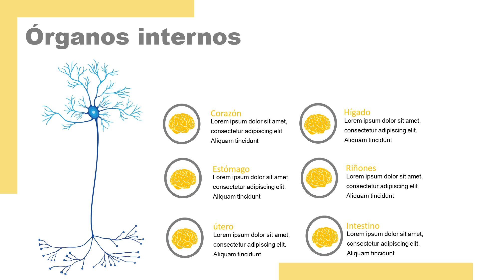 Neurociencia Plantilla PowerPoint
