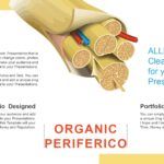 Neurociencia Plantilla PowerPoint