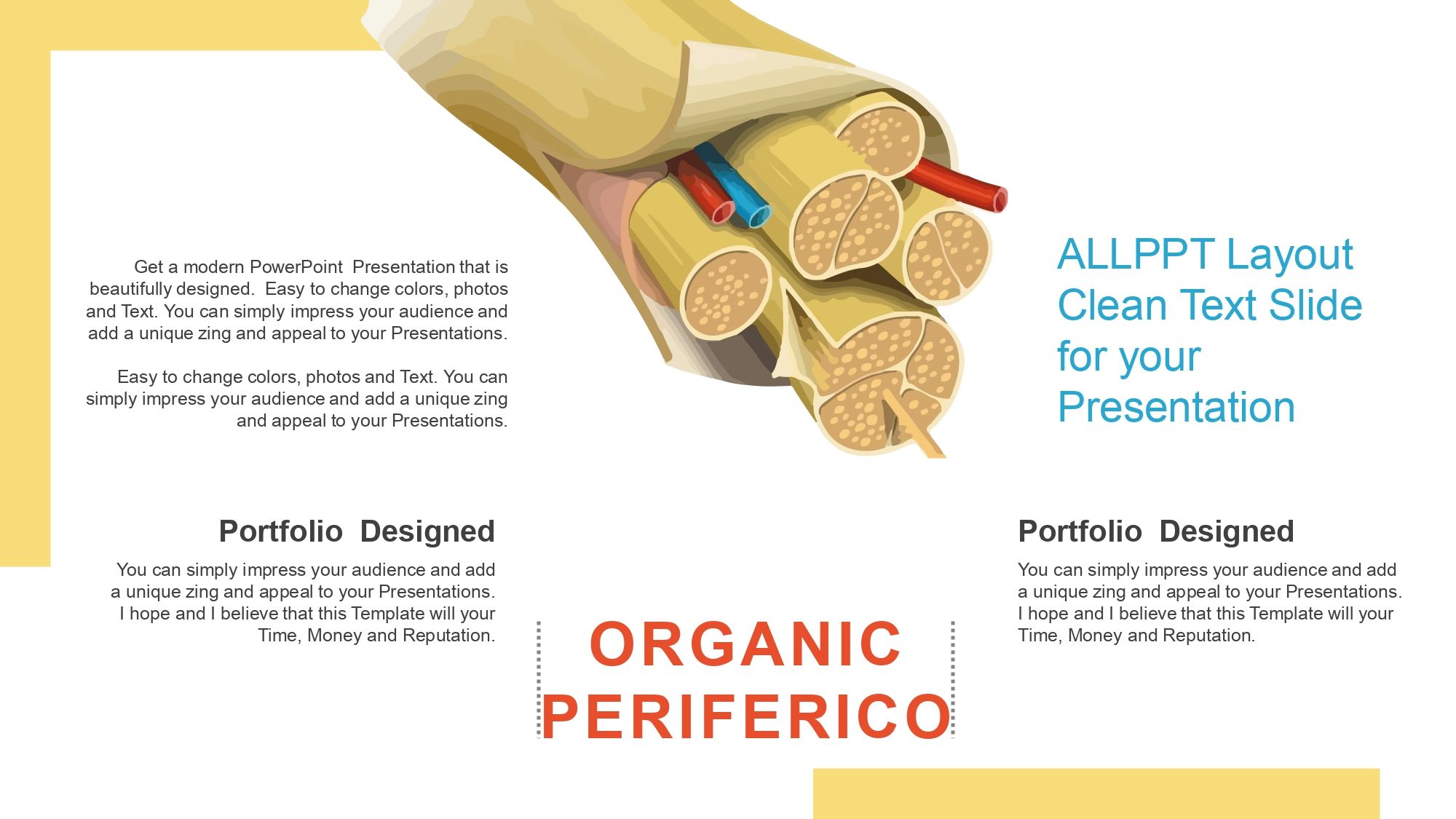 Neurociencia Plantilla PowerPoint