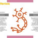 Neurociencia Plantilla PowerPoint