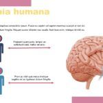 Neurociencia Plantilla PowerPoint