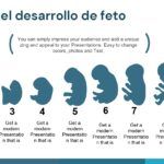 Obstetricia Plantilla PowerPoint