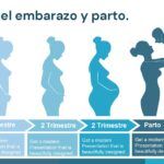 Obstetricia Plantilla PowerPoint