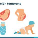 Obstetricia Plantilla PowerPoint