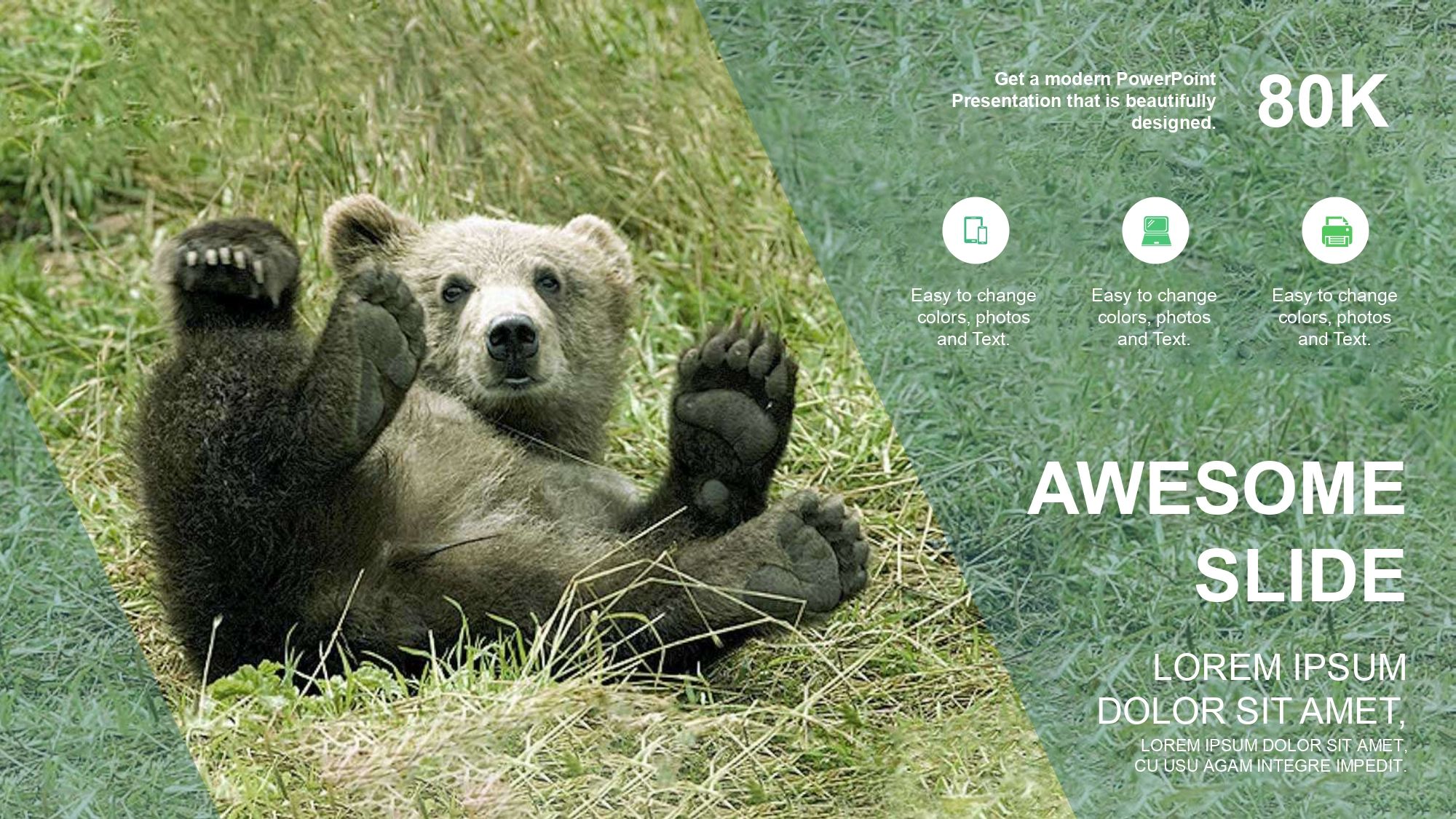 Osos Plantilla PowerPoint