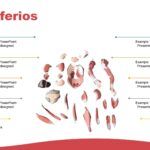 Sistema Muscular Plantilla PowerPoint