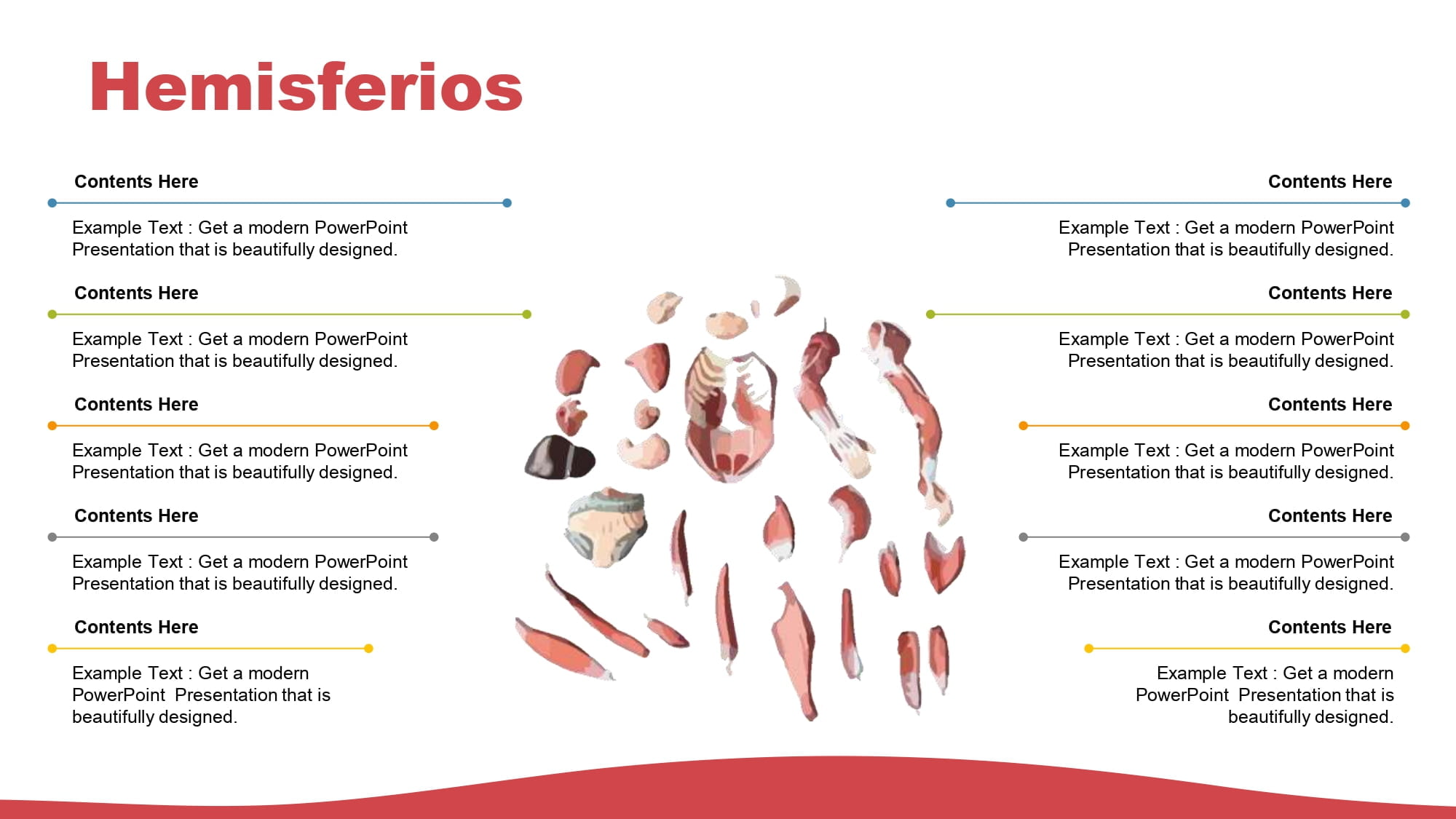 Sistema Muscular Plantilla PowerPoint
