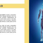 Sistema Nervioso Plantilla PowerPoint