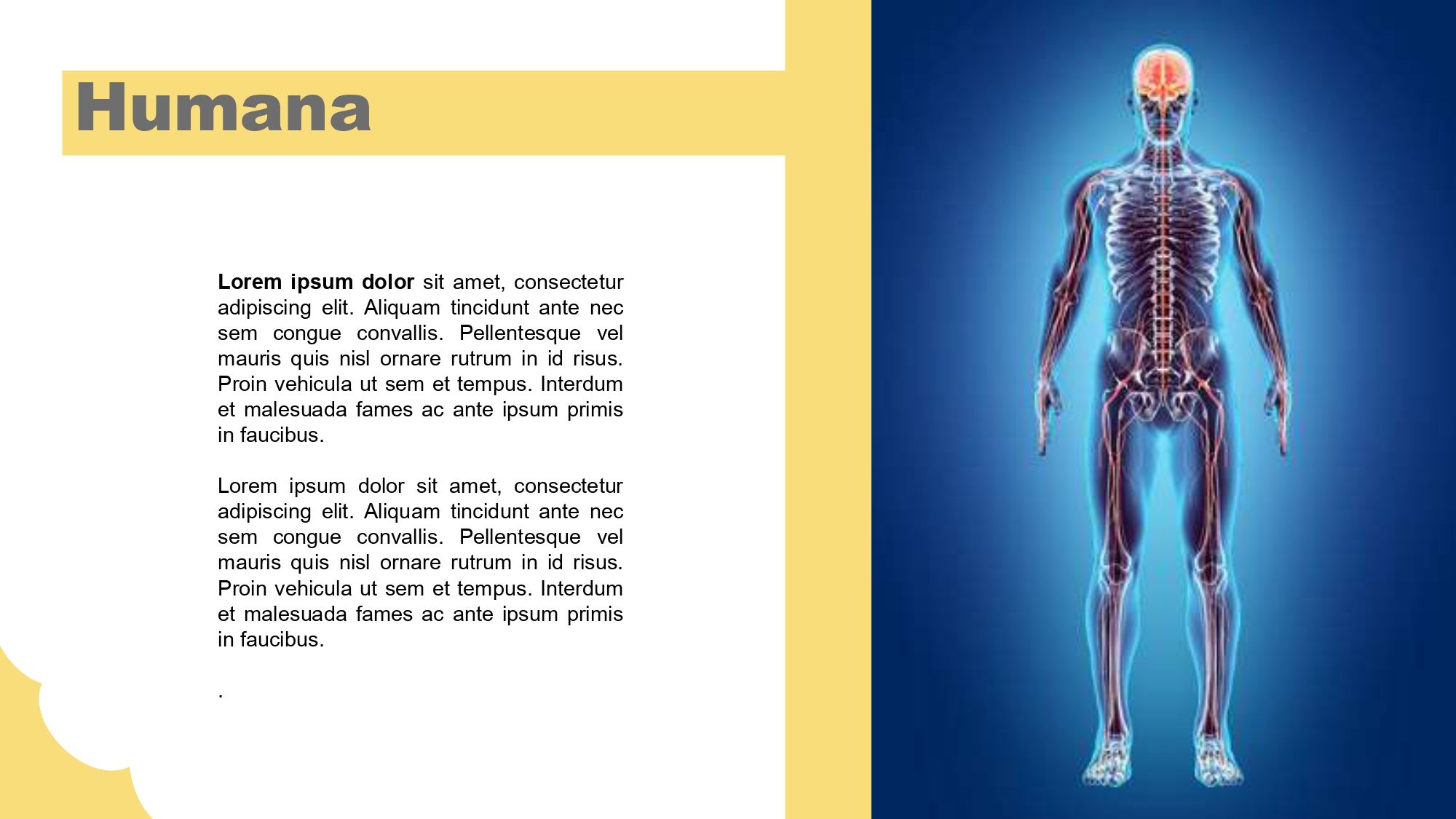 Sistema Nervioso Plantilla PowerPoint