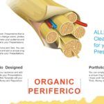Sistema Nervioso Plantilla PowerPoint