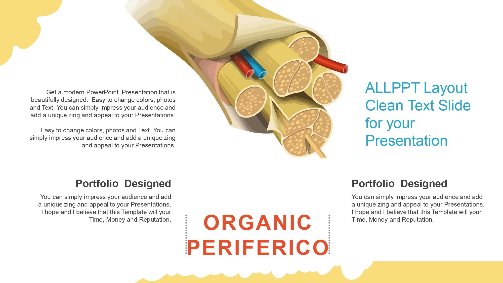 Sistema Nervioso Plantilla PowerPoint