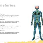 Sistema Nervioso Plantilla PowerPoint