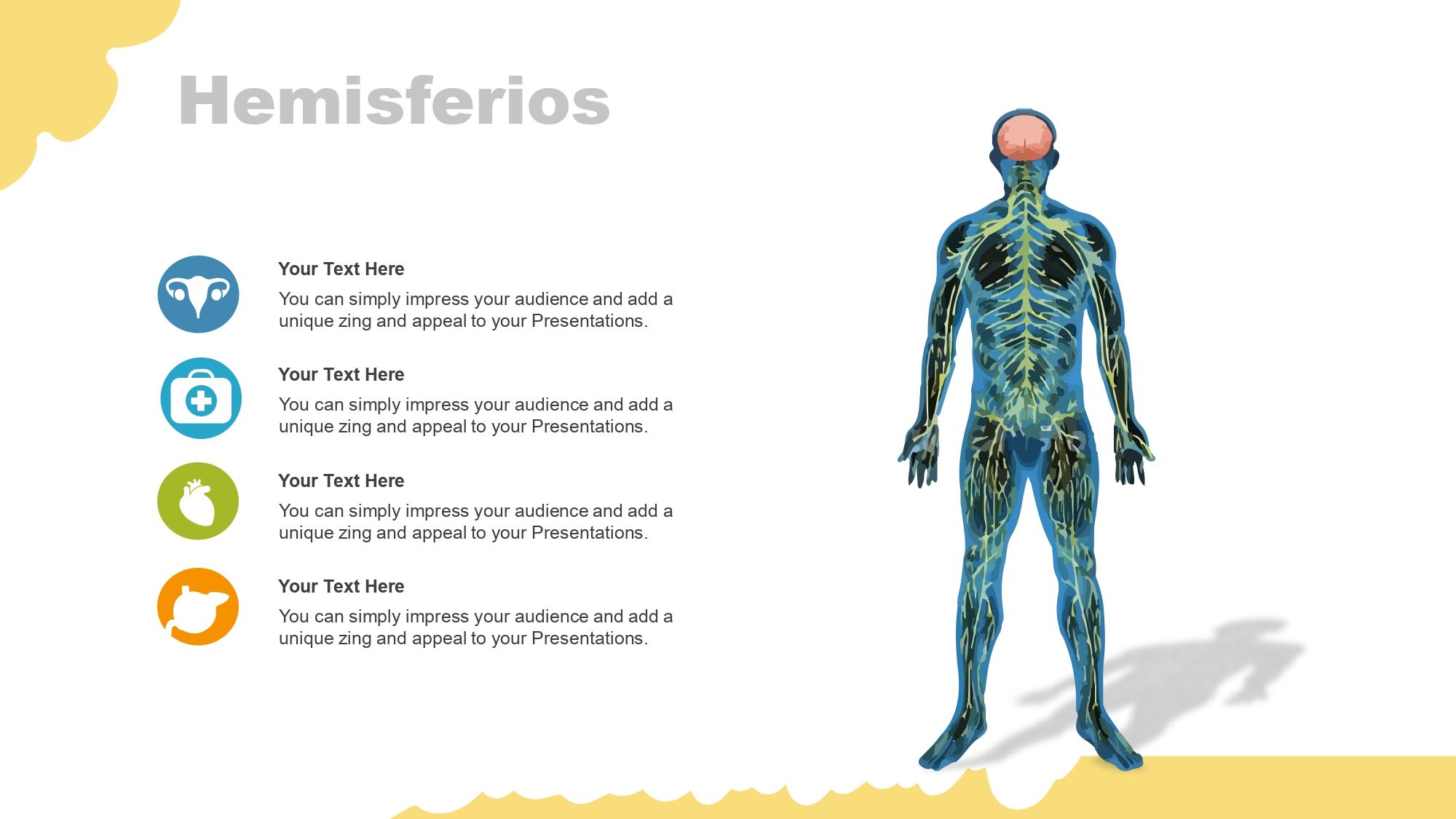 Sistema Nervioso Plantilla PowerPoint