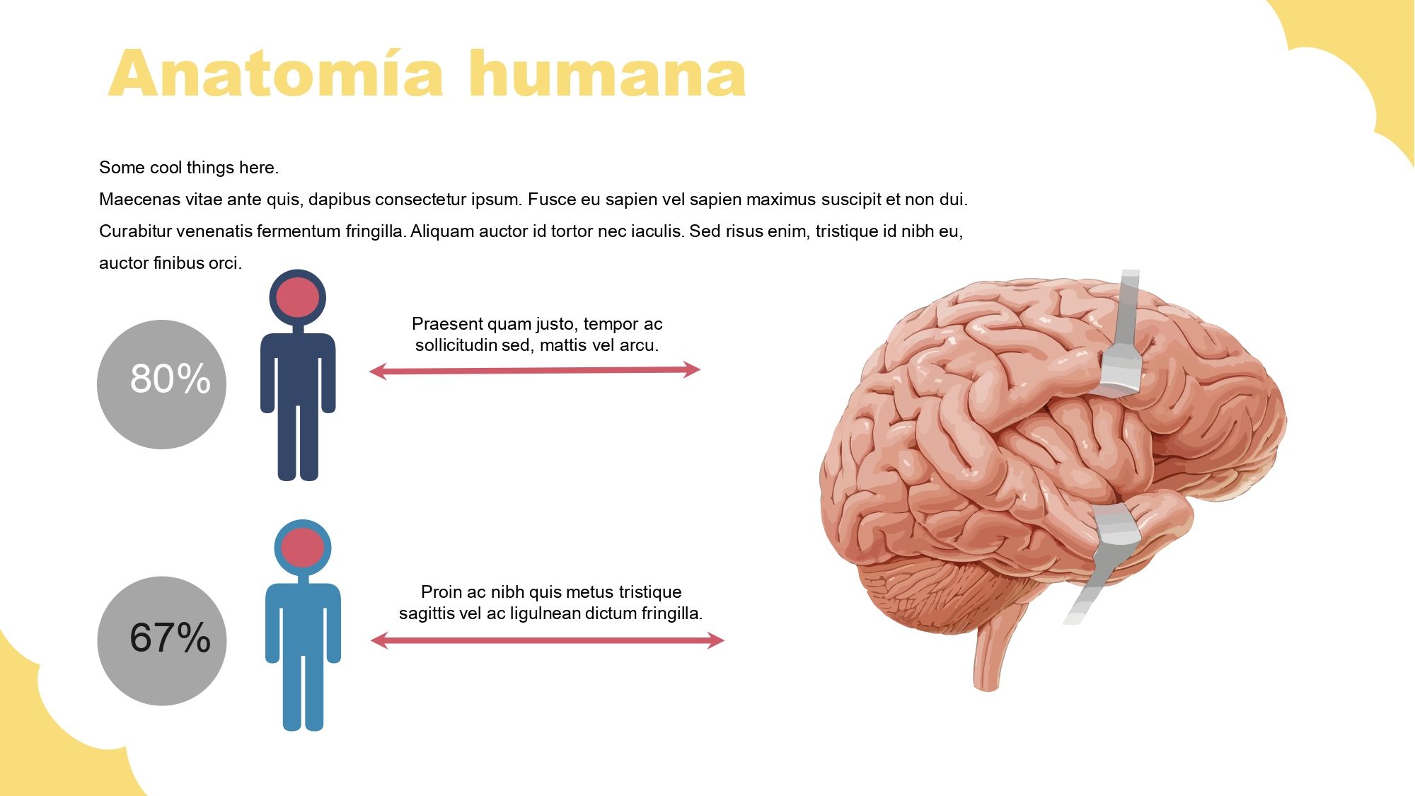 Sistema Nervioso Plantilla PowerPoint
