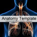 Sistema Respiratorio Plantilla PowerPoint