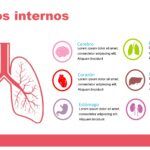 Sistema Respiratorio Plantilla PowerPoint