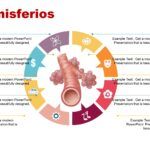 Sistema Respiratorio Plantilla PowerPoint