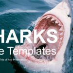 Tiburón Plantilla PowerPoint