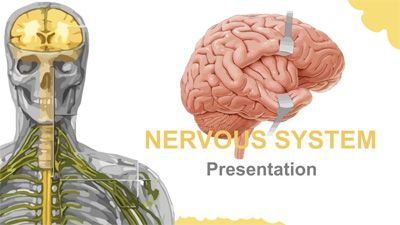 Sistema Nervioso Plantilla PowerPoint